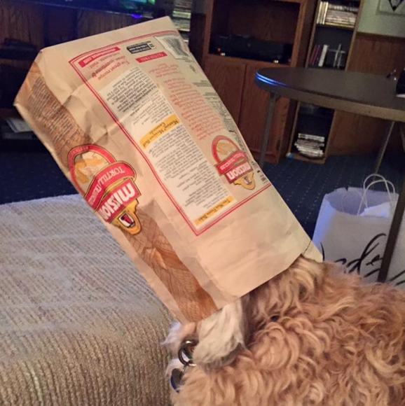 Meet your Posher, Kurt - Picture 4 of 4